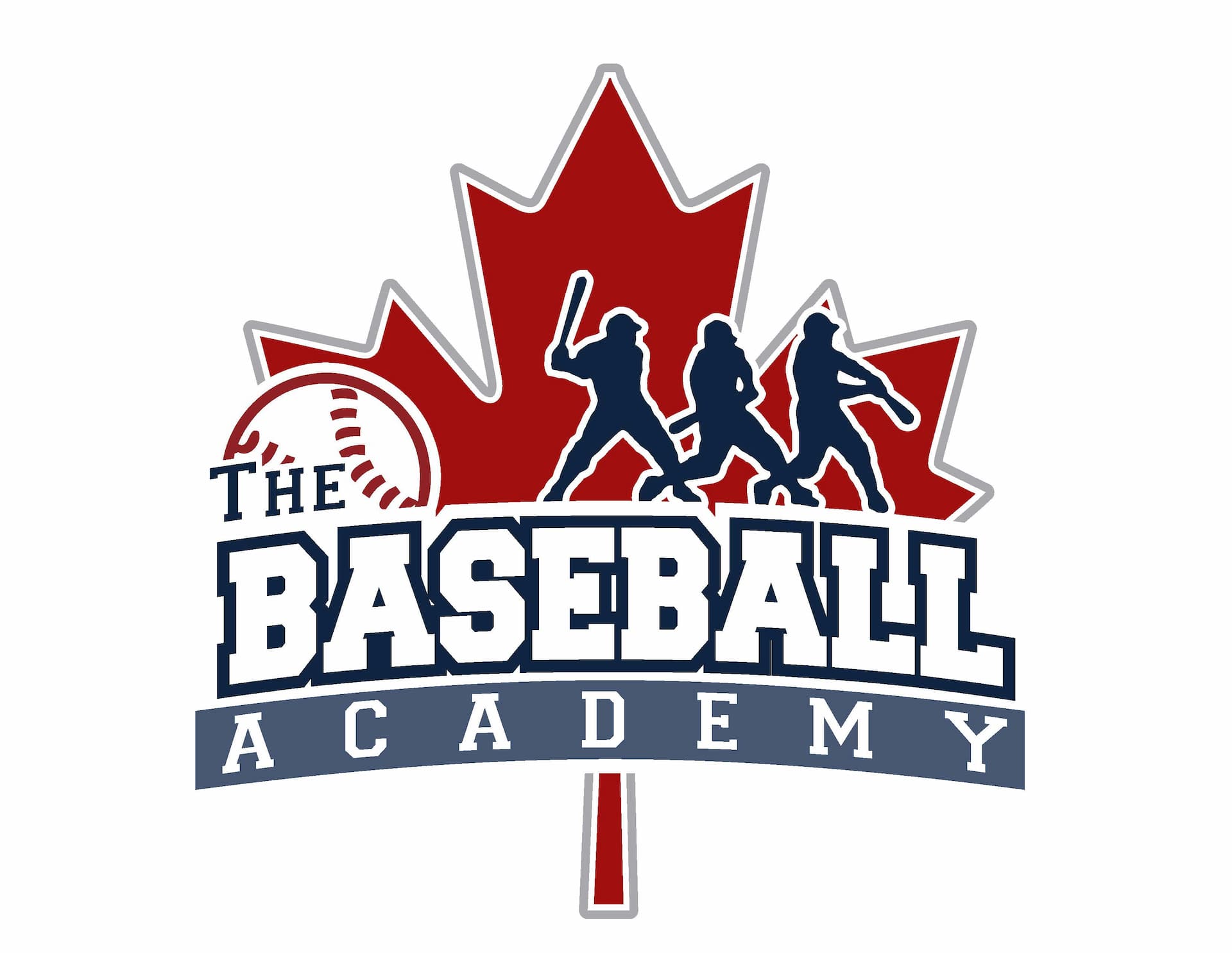 Baseball academy logo